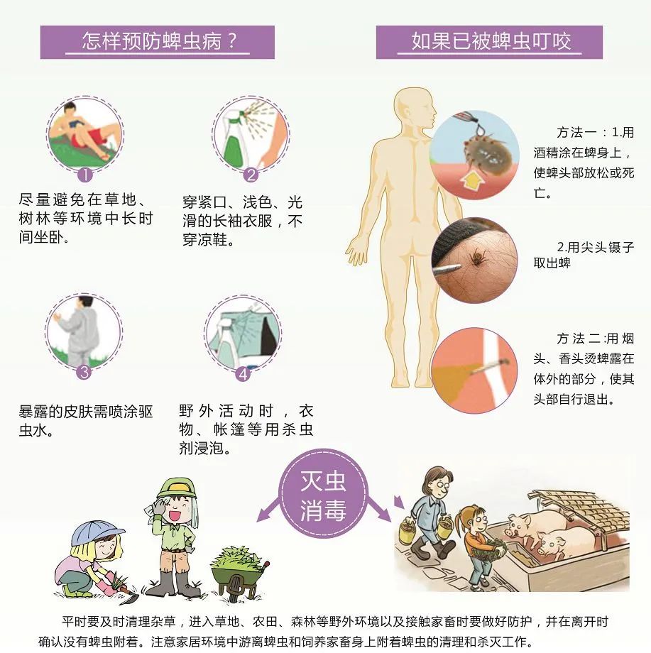 防范方法.jpeg 图片